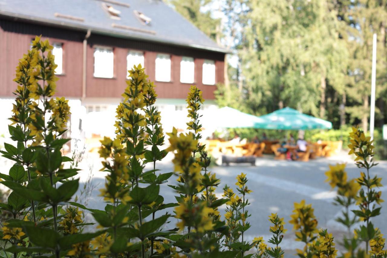 Buerger- Und Berggasthaus Scheibenberg Exterior photo